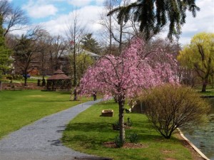 St. Luke’s Village is now independent of St. Luke’s Church